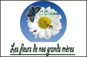 vignette les fleurs de nos grands meres